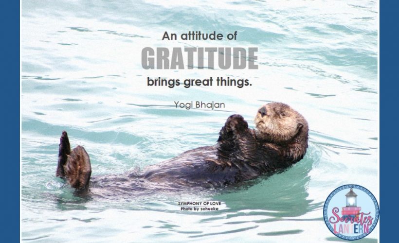 Attitude of Gratitude: Things I'm Thankful For